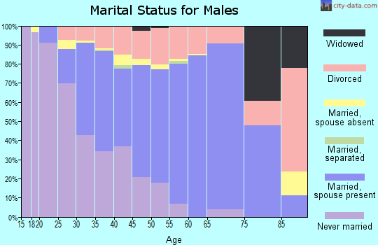 Zip code 78727 marital status for males