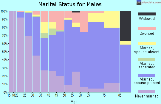 Zip code 78728 marital status for males