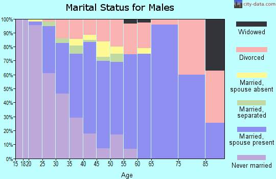Zip code 78729 marital status for males