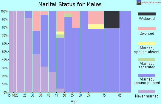Zip code 78730 marital status for males