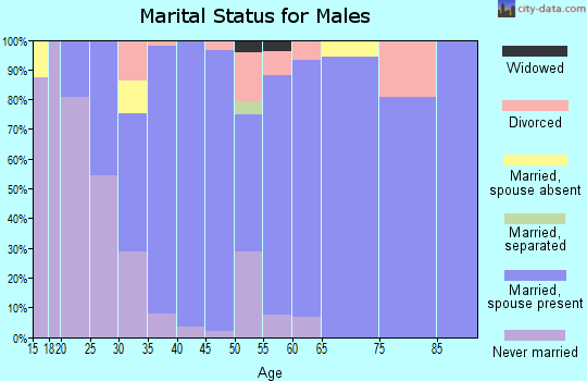 Zip code 78732 marital status for males