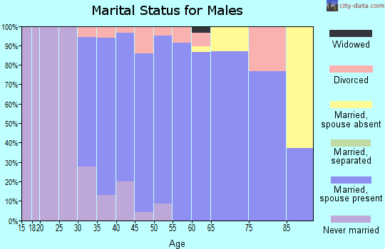 Zip code 78733 marital status for males