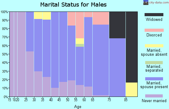 Zip code 78736 marital status for males