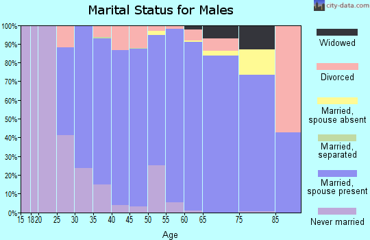Zip code 78737 marital status for males