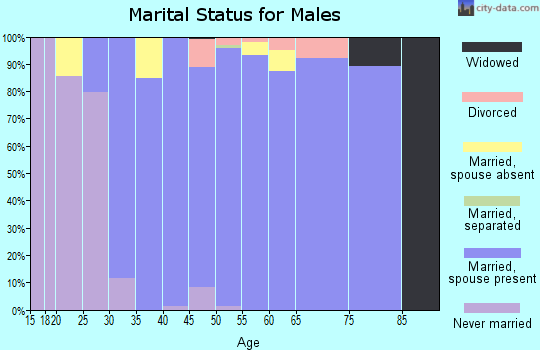 Zip code 78739 marital status for males