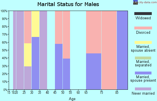 Zip code 78742 marital status for males