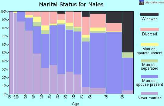 Zip code 78745 marital status for males