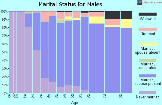 Zip code 78746 marital status for males