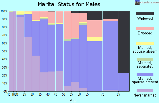 Zip code 78748 marital status for males