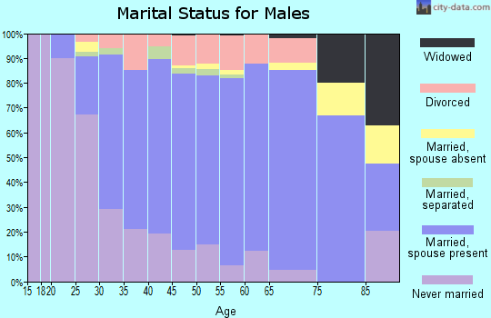 Zip code 78749 marital status for males