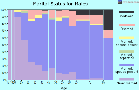 Zip code 78750 marital status for males