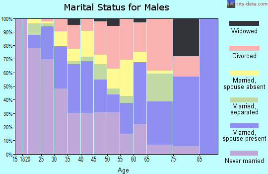 Zip code 78752 marital status for males
