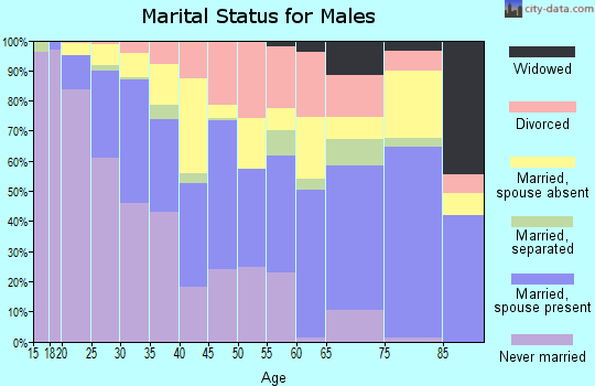 Zip code 78753 marital status for males