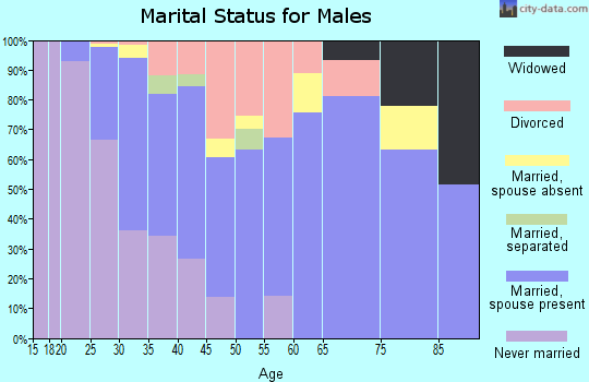 Zip code 78754 marital status for males