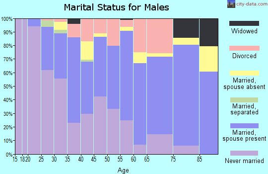 Zip code 78757 marital status for males