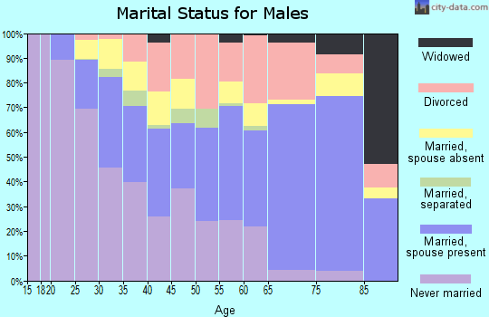 Zip code 78758 marital status for males