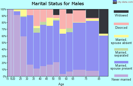Zip code 78801 marital status for males