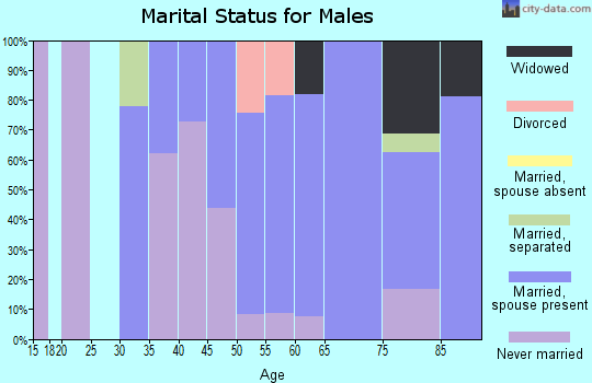 Zip code 78827 marital status for males
