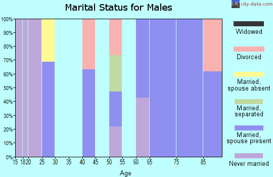 Zip code 78829 marital status for males
