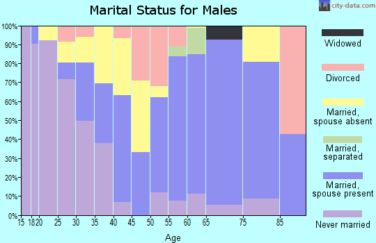 Zip code 78832 marital status for males