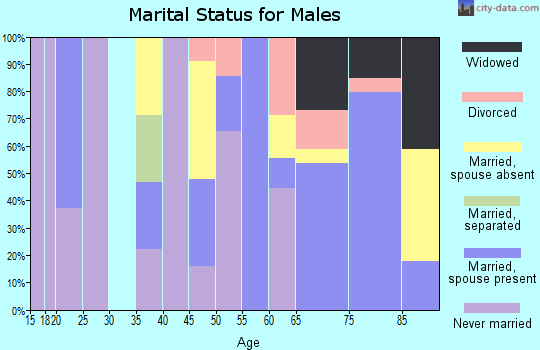 Zip code 78833 marital status for males