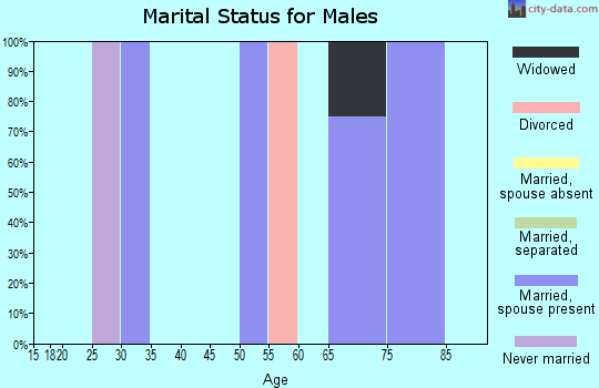 Zip code 78837 marital status for males