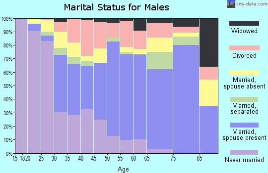 Zip code 78861 marital status for males
