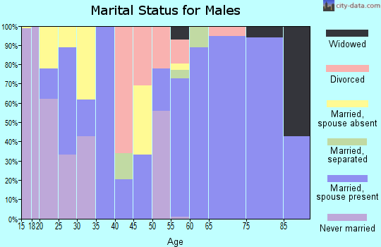 Zip code 78873 marital status for males