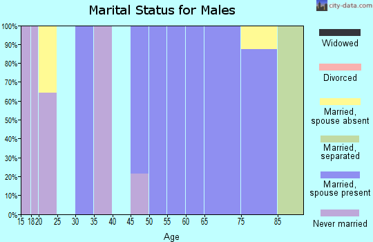 Zip code 78877 marital status for males
