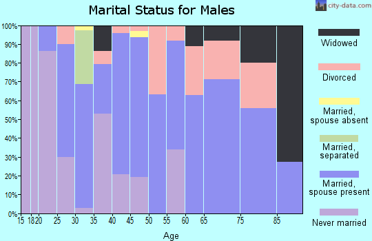 Zip code 78880 marital status for males