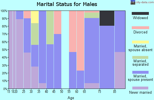 Zip code 78881 marital status for males
