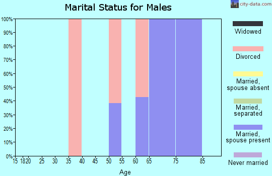 Zip code 78883 marital status for males