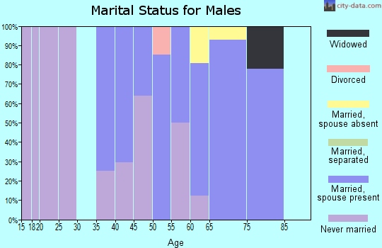 Zip code 78884 marital status for males