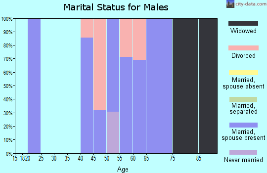 Zip code 78886 marital status for males
