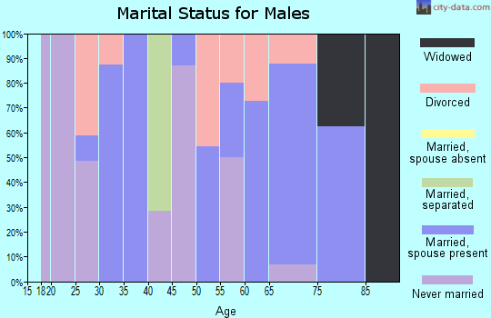 Zip code 78932 marital status for males