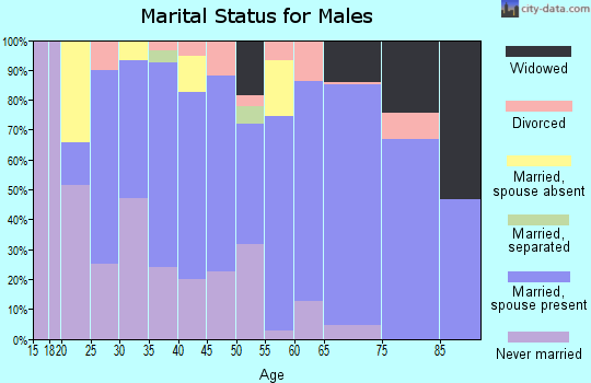 Zip code 78934 marital status for males