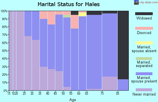 Zip code 78940 marital status for males
