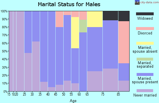 Zip code 78941 marital status for males