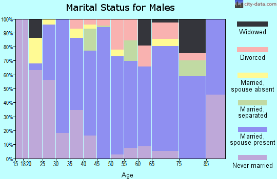 Zip code 78942 marital status for males