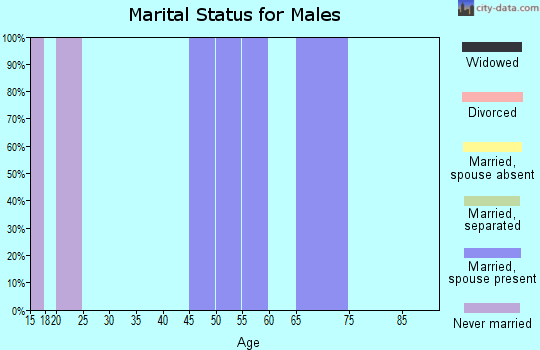 Zip code 78943 marital status for males