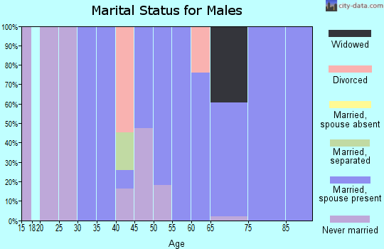 Zip code 78944 marital status for males
