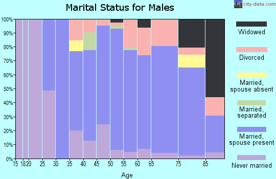 Zip code 78945 marital status for males
