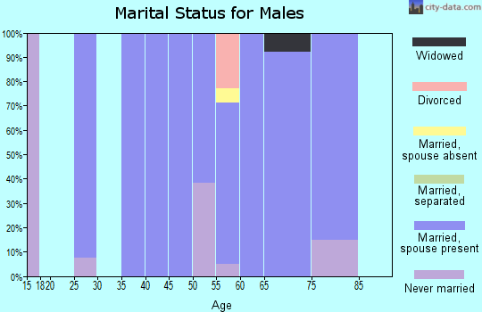 Zip code 78946 marital status for males