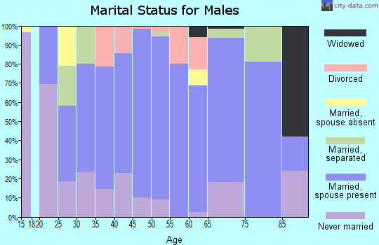Zip code 78947 marital status for males