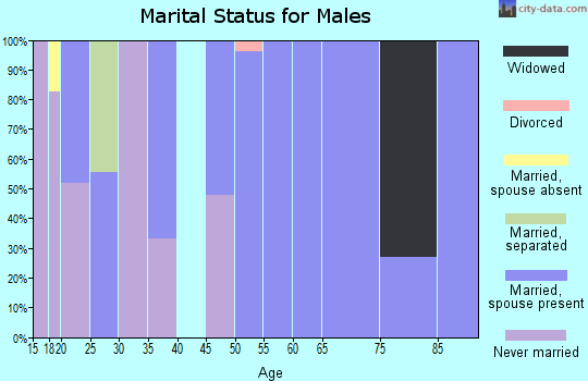 Zip code 78948 marital status for males