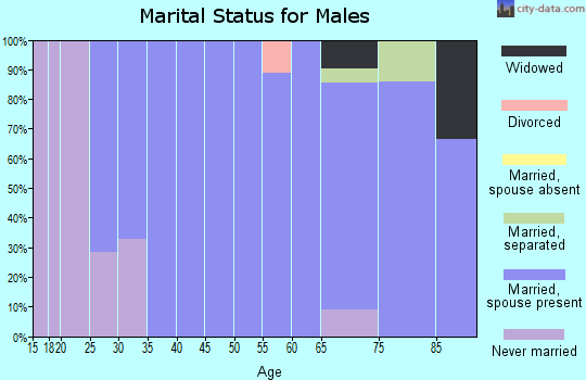 Zip code 78950 marital status for males