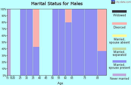 Zip code 78953 marital status for males