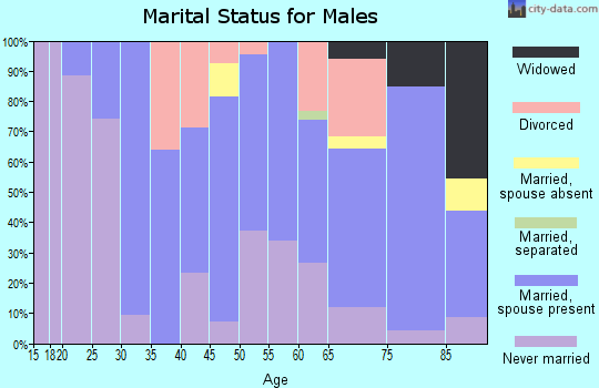 Zip code 78956 marital status for males