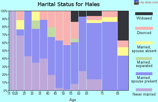 Zip code 78957 marital status for males