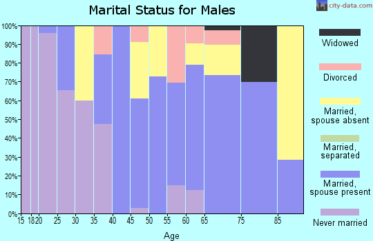 Zip code 78959 marital status for males